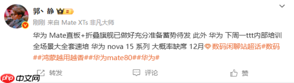 档期排满！曝华为nova 15系列大概率无缘12月发布