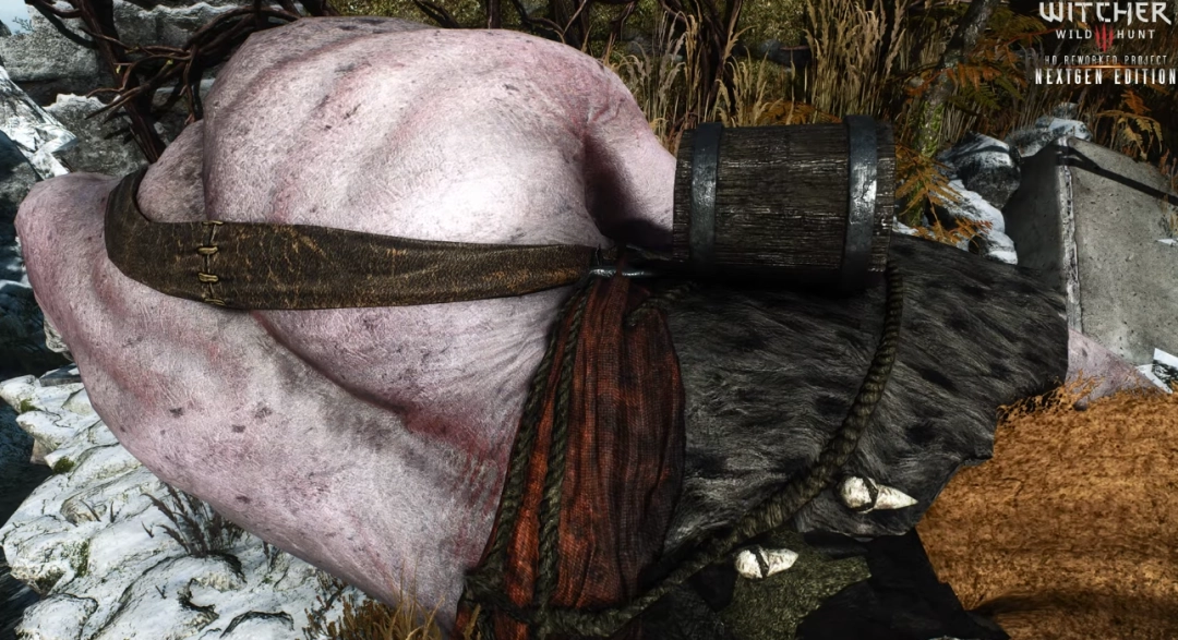 MOD大神再发力!《巫师3》高清重制版开发中 预计明年发布