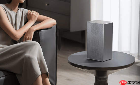小米夺中国智能音箱第一 份额达48.8%