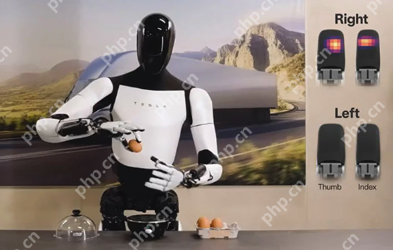 揭秘特斯拉人形机器人训练内幕：员工身心俱疲，感觉像“小白鼠” - php中文网