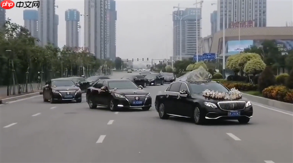 十多辆婚车公路上组队“蛇形”占道 交警：已传唤全部驾驶员
