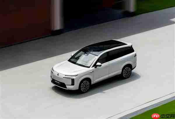 腾势N8L上市后小程序被挤崩 腾势总经理回应：低估了大家的热情