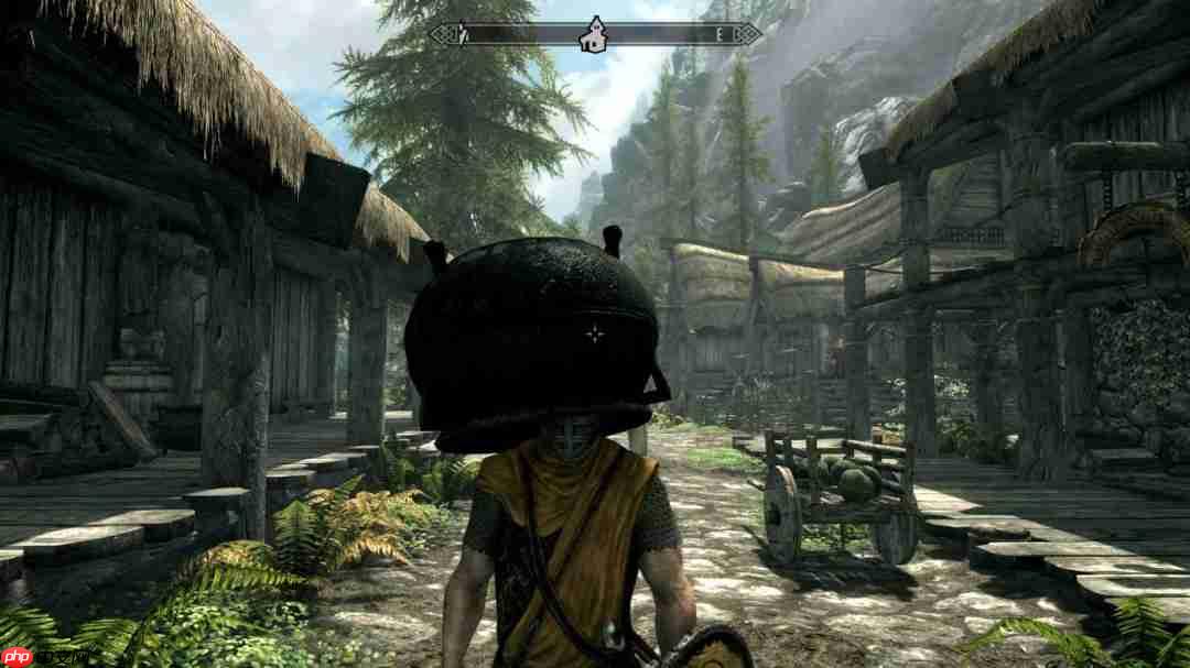 开发人员都未曾设想！ 《上古卷轴5》套桶偷窃技巧实为bug