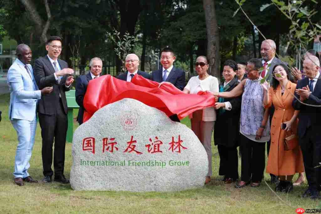 “国际朋友圈”扩容！11国驻华大使为雨城点赞 ——“‘一带一路’乡村振兴·文化交融”驻华大使走进雨城区公益交流活动侧记