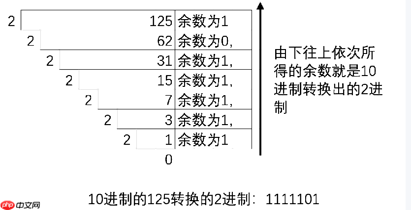 C语言操作符详解