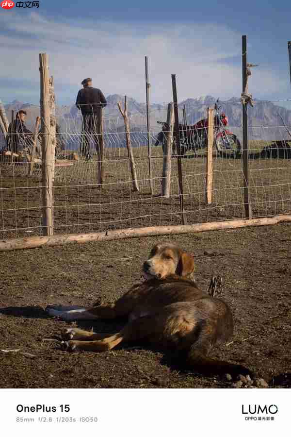 一加哈苏合作结束：一加15首次搭载OPPO LUMO凝光影像