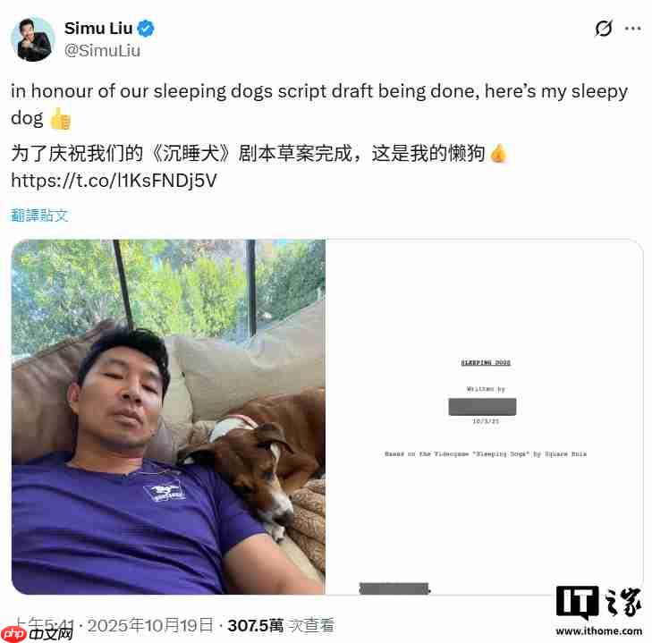 演员刘思慕称《热血无赖》游戏改编真人电影剧本已写完,将进入拍摄阶段