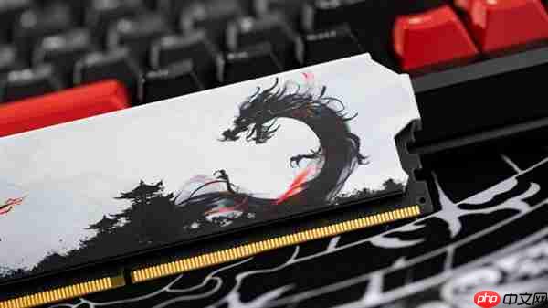 大碗更香！绫龙DDR5 6000 CL36 48GB内存开箱