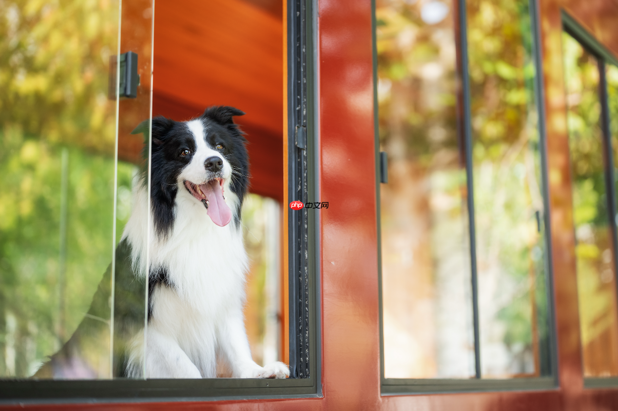 唯卓仕AF50mm F1.4 Pro上市：重塑标准镜头的“全能旗舰”