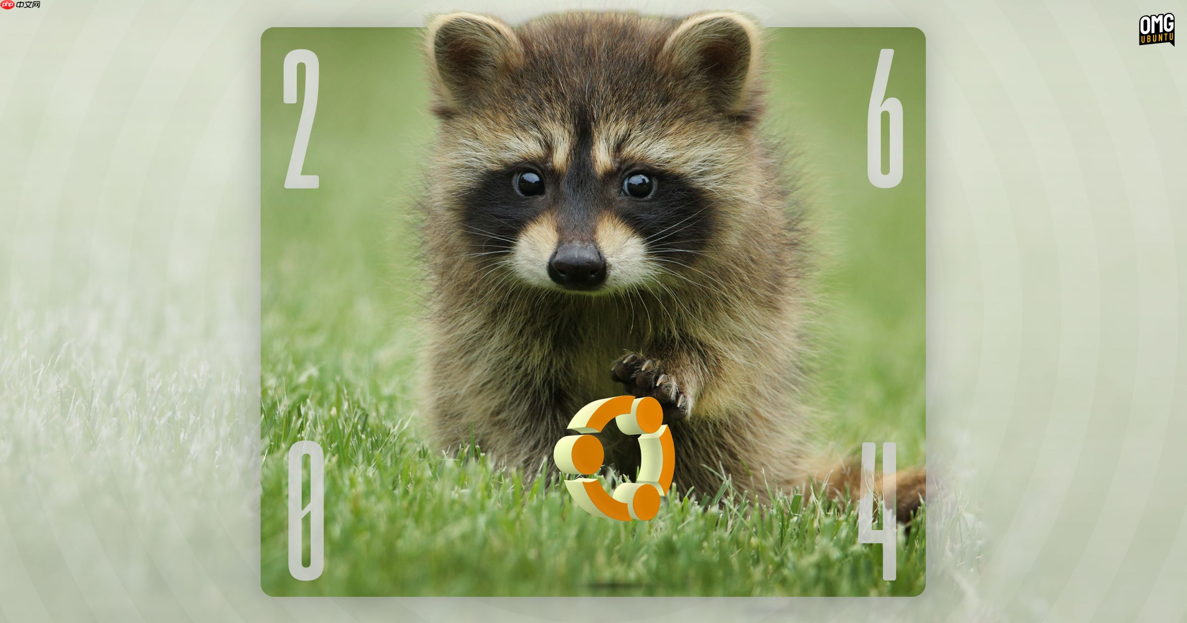 Ubuntu 26.04 LTS 代号公布：Resolute Raccoon