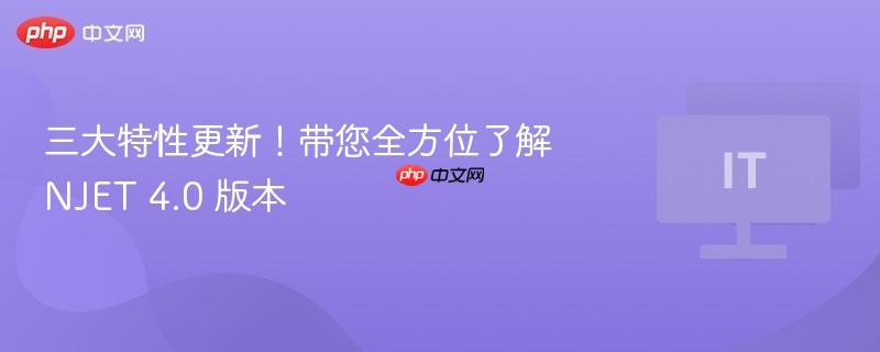 三大特性更新！带您全方位了解 njet 4.0 版本