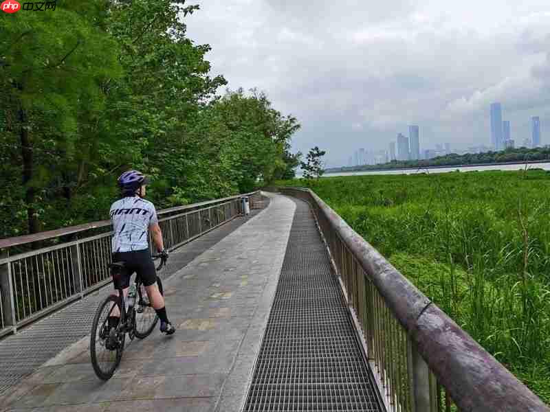 平价也能出大片！彩族C19微单测评：新手入门真香之选！