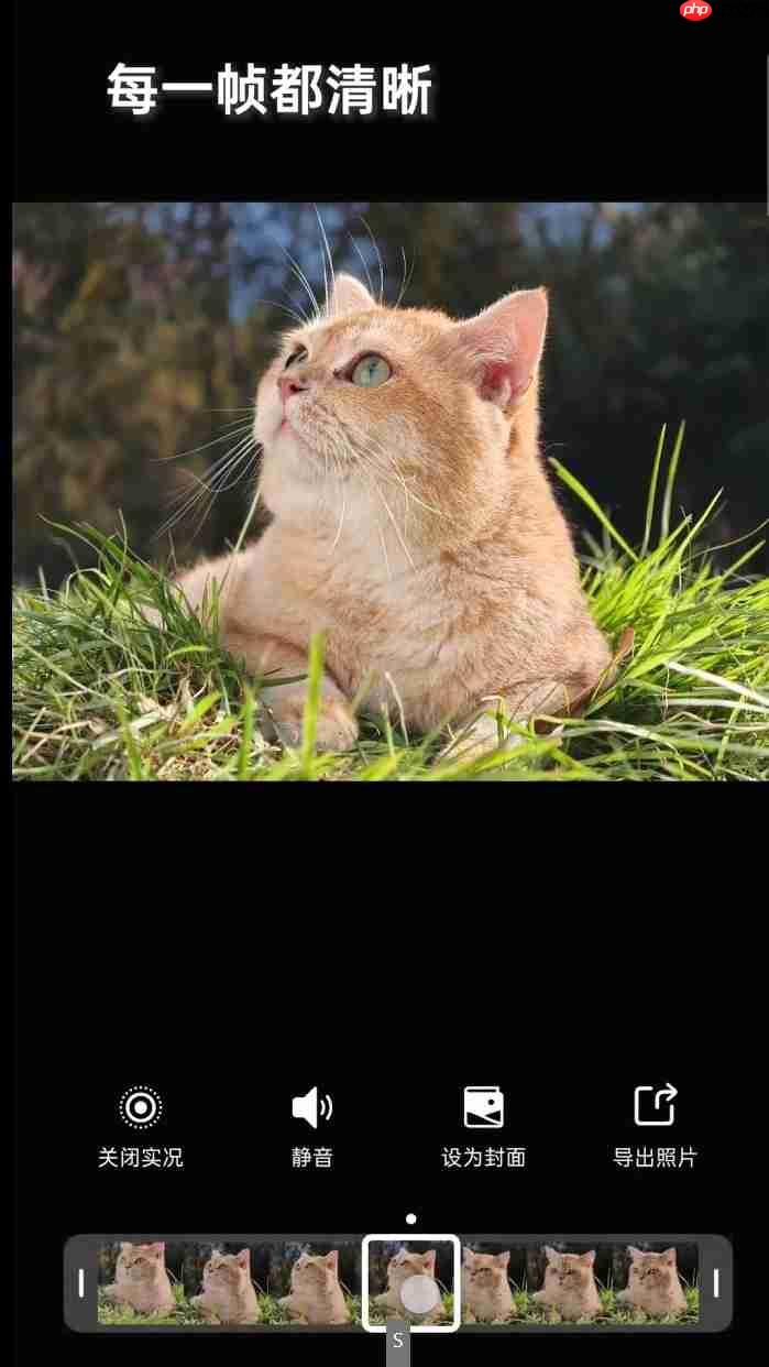 OPPO Find X9系列首发4K超清实况照片，引领影像新纪元