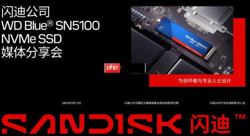 专为内容创作、AI应用打造的存储设备来了！闪迪媒体分享会展示新款SN5100 SSD
