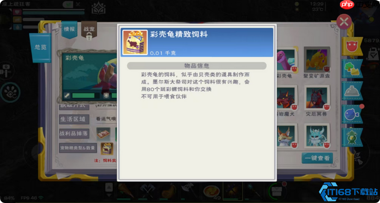 龟饲料全攻略:新手秒变驯龟大师,从入门到精通