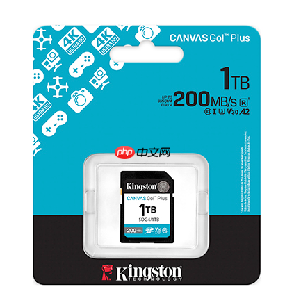 上山下海随心拍  金士顿新Canvas Plus闪存卡选择技巧