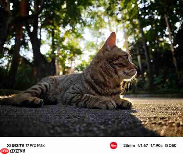 小米17 Pro系列实拍样张首次公布 雷军：逆光之王！