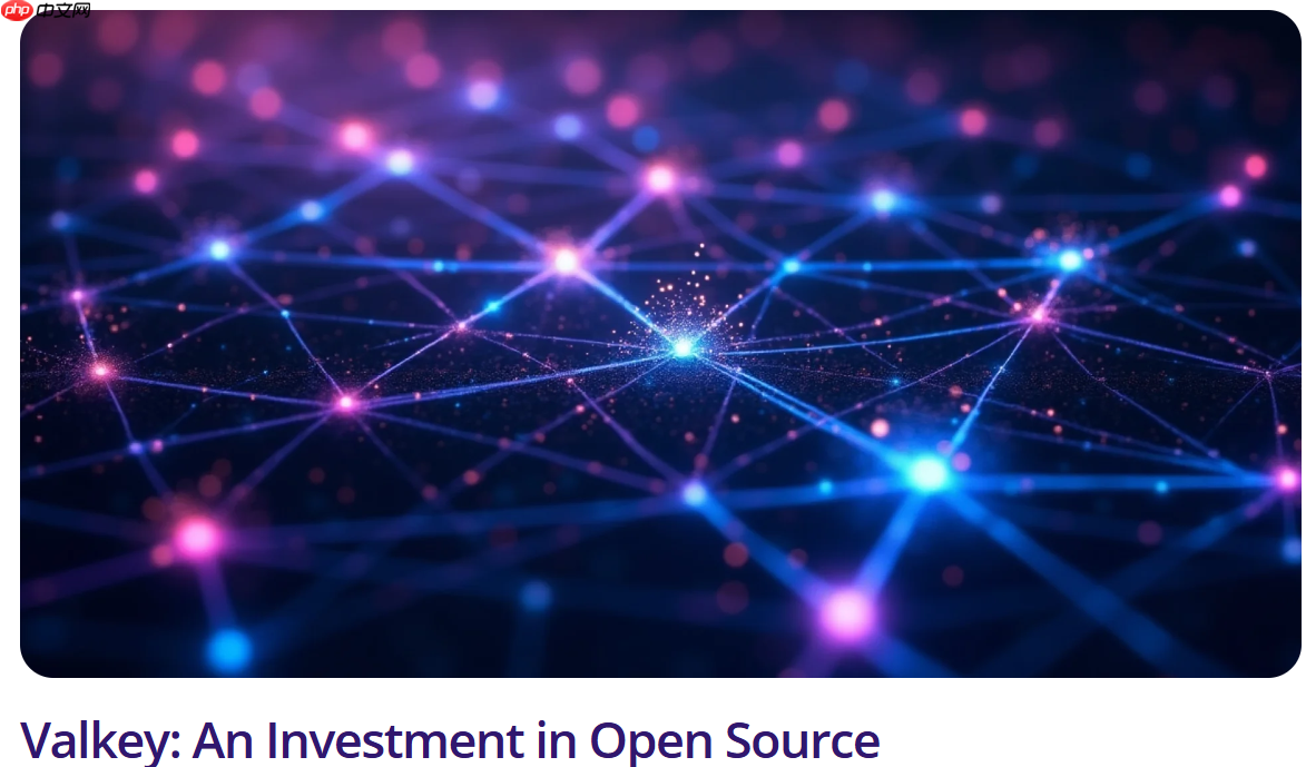 Valkey:对开源的投资