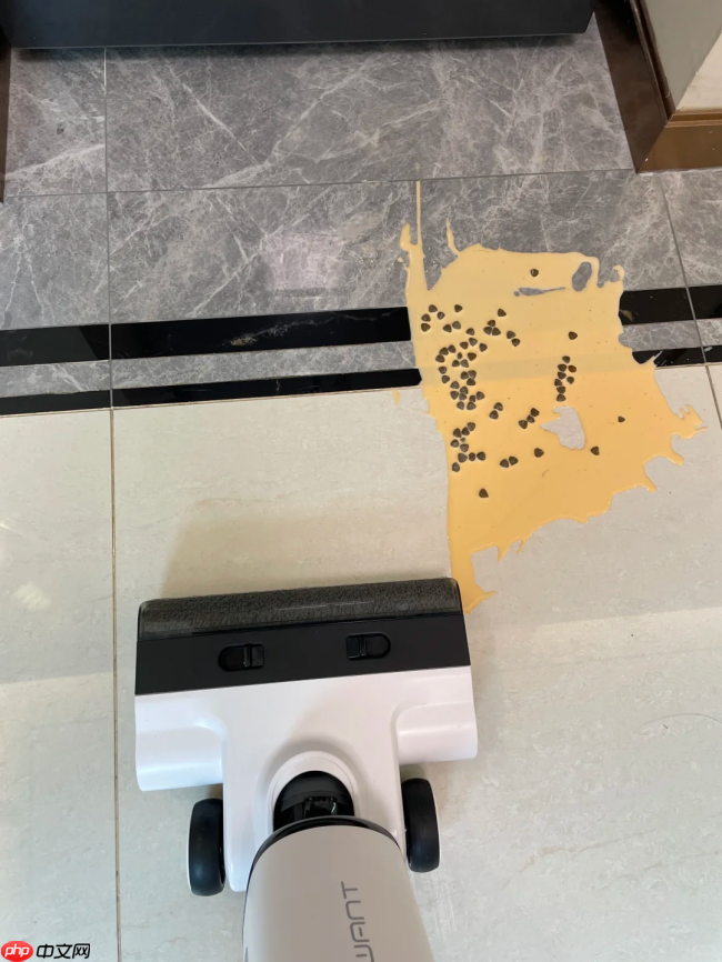 洗地机与吸尘器终极科普:功能、差异与选购全指南