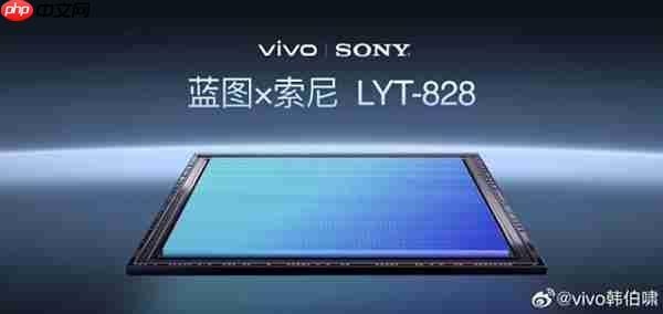 2025最值得推荐的拍照手机：vivo X300 Pro 2亿像素长焦巨出片