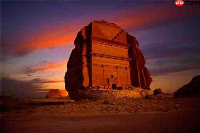 沙特在沪举办大型路演活动 深化与中国贸易伙伴关系