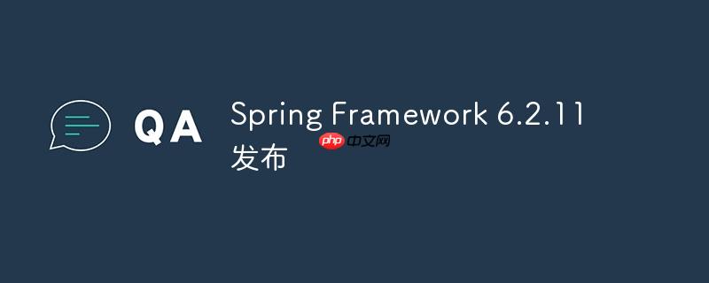 Spring Framework 6.2.11 发布