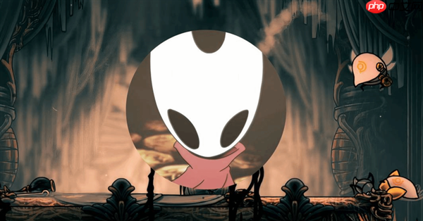 华硕RTX5060显卡轻松玩转《空洞骑士:丝之歌》