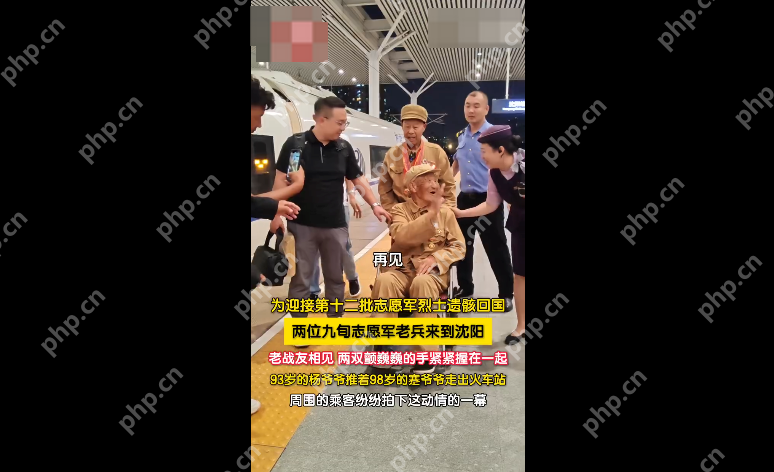 93岁老兵推着98岁老兵一起：两代老兵的生死赴约 - php中文网