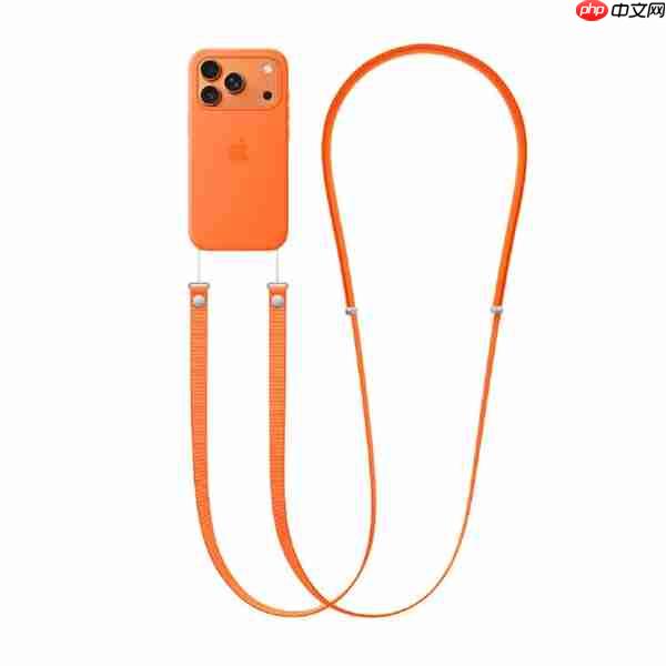 果粉回击吐槽都是买不起的！苹果再回应479元挂绳太贵：市场决定