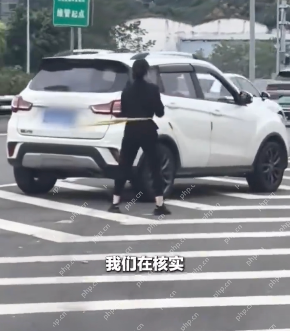 重庆一女子在高架桥上转呼啦圈 当地交警：会批评教育 - php中文网