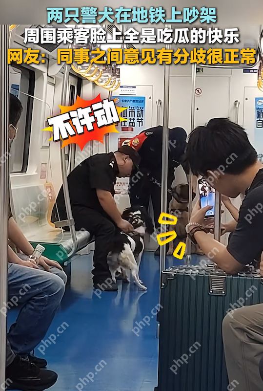 两只警犬在地铁上吵架 网友:同事之间意见有分歧很正常 - php中文网