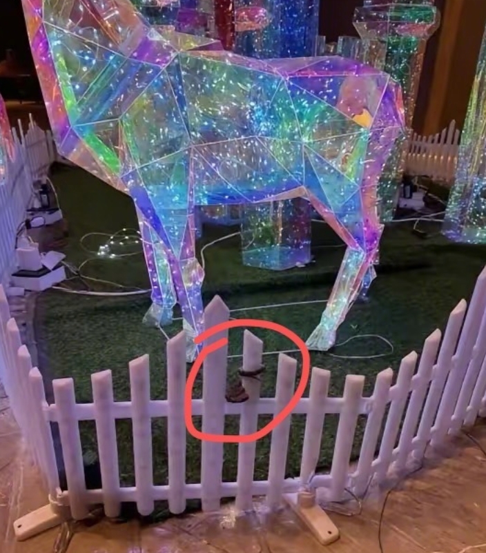 九寨沟一酒店大堂惊现毒蛇 酒店回应：已放生并进行消杀 - php中文网