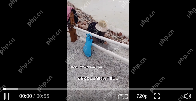 游客将茶卡盐湖铺路盐成袋装走是怎么回事?详细介绍 - php中文网