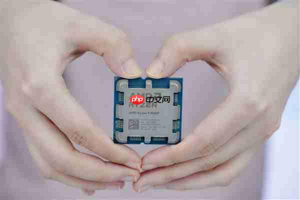 新一代的千元神U！AMD锐龙5 9500F处理器图赏