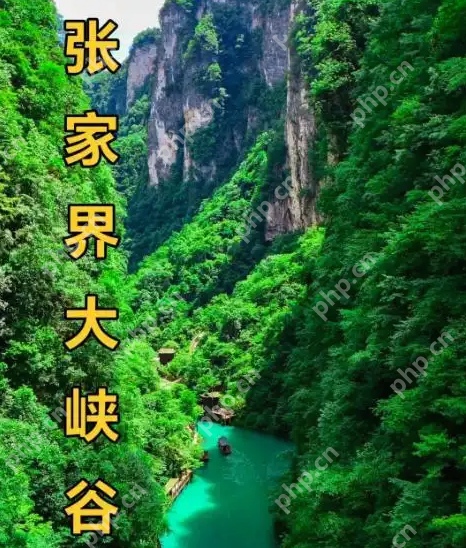 2100元接待费：张家界“史上最抠”公务接待引热议 - php中文网