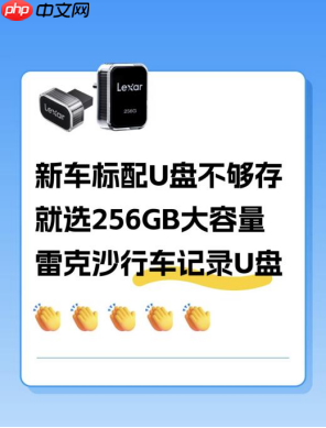 特斯拉ModelY L 出行搭档！雷克沙行车记录U盘守护每段旅程