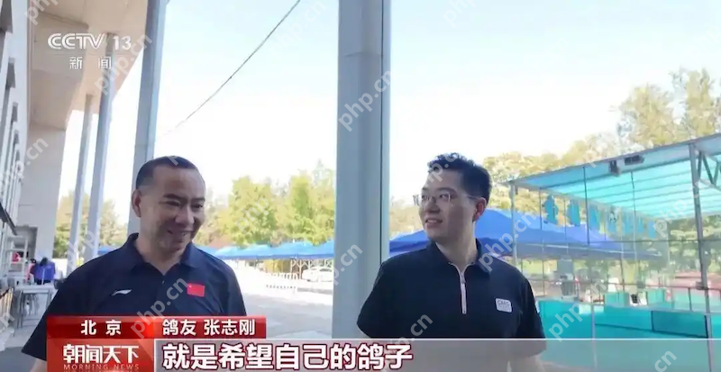 8万羽和平鸽全部来自北京民间鸽友！阅兵式万鸽齐飞的震撼场面，他们如何做到？ - php中文网