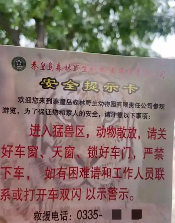 两车在秦皇岛野生动物园猛兽区发生剐蹭，多名游客下车当着老虎面吵架 - php中文网