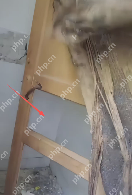 教育局回应中学宿舍像荒野求生基地:已问责校长 - php中文网