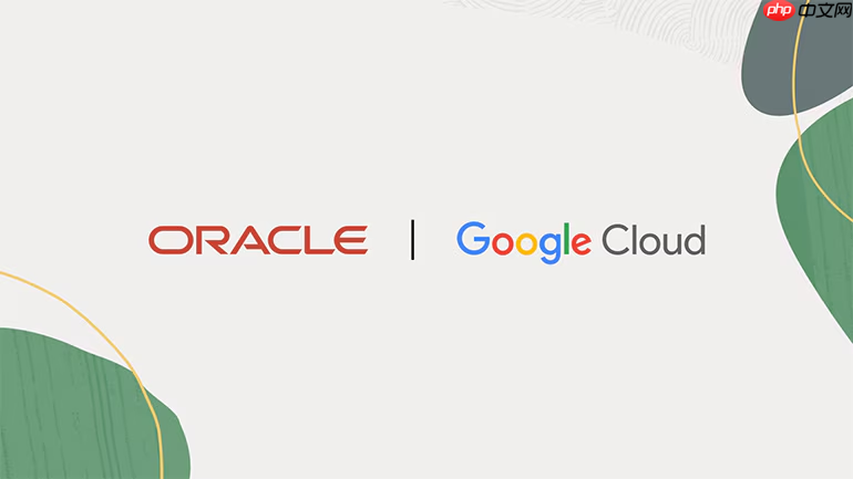 Oracle将为客户提供GoogleGemini 模型，助力企业加速AgenticAI 之旅
