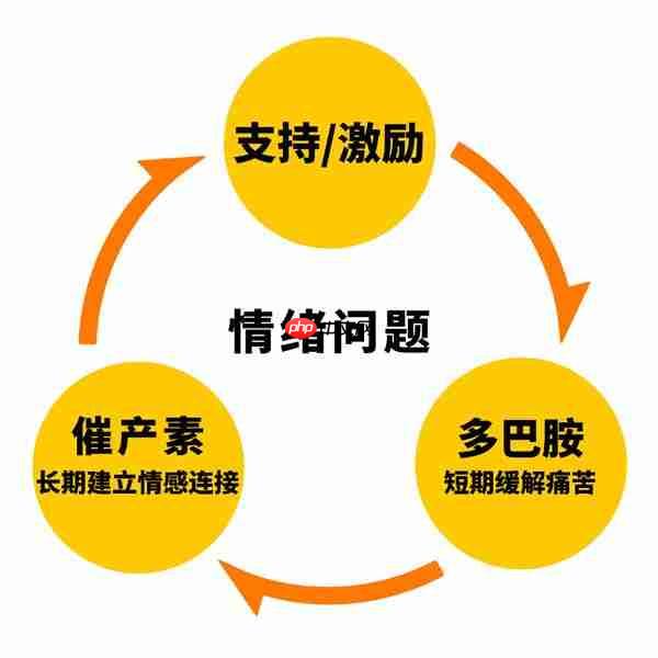 心言集团任永亮：好产品会让用户触发催产素分泌