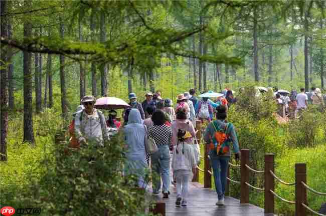 全国目光锁定阿尔山！这场大会为何选在这里？