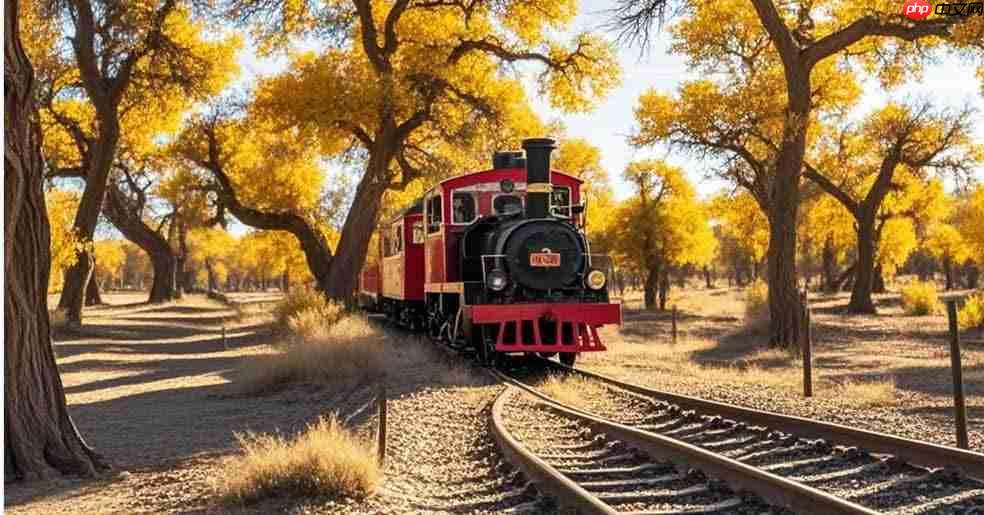 额济纳“昼赏胡杨夜游星河”全时体验即将开启