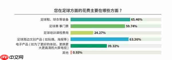《中国足球环境及未来发展白皮书（2025）》发布：100吋大屏电视成球迷客厅新标配