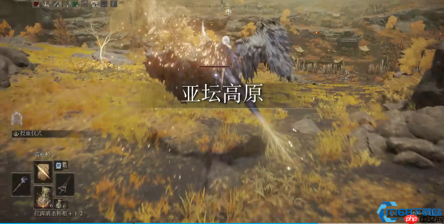 萌宠变战神：零氪党必备战力养成全攻略