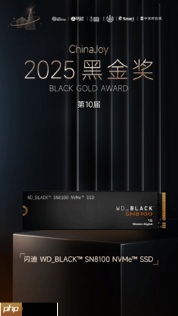 ChinaJoy 2025热力全开 闪迪携合作伙伴共绘互动娱乐新图景