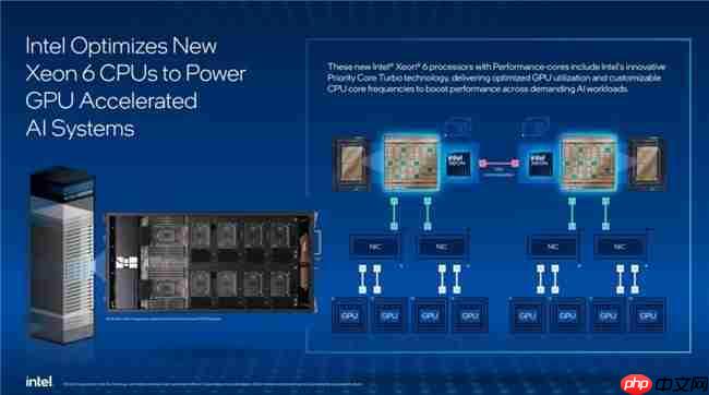 术业有专攻——AI系统主控CPU英特尔至强6新品处理器浅析