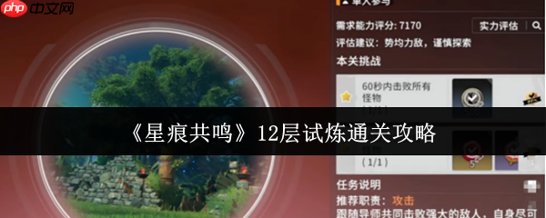 星痕共鸣12层试炼终极突破：幻神阵容与零失误操作指南