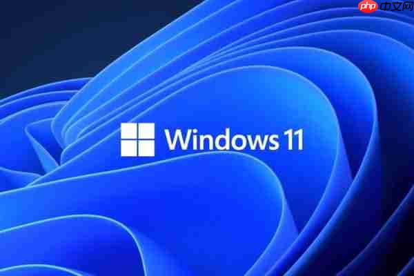 Win11更新因兼容问题被喊停！印度阿三的系统果然不行