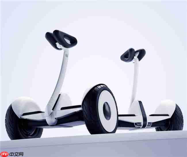 九号公司创始人兼董事长高禄峰，受邀出席中国-印尼工商界欢迎宴会